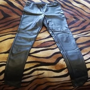 Black Pleather Plants